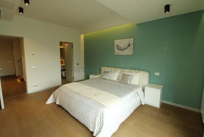 Iancu Nicolae-British School duplex  - 3 dormitoare - 17