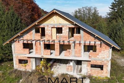 Pensiune 16 camere, teren 1ha, Valea Avrigului Pensiune 16 camere, teren 1ha, Valea Avrigului - 3