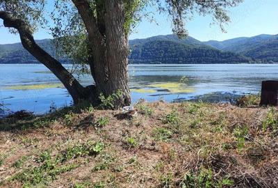 Teren de 1000 mp, în Berzasca - 3