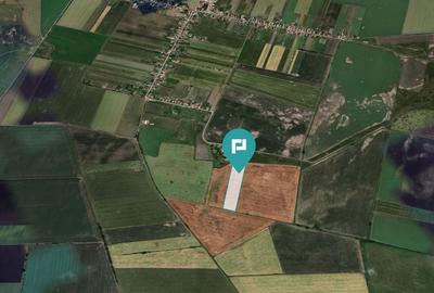 Teren extravilan de 28900 mp în Variașul Mare Teren extravilan de 28900 mp în Variașul Mare - 2