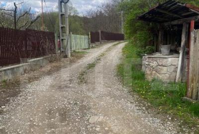 Teren 784 mp, Nistoresti, jud Prahova - 2