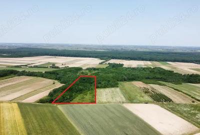 Teren de vanzare - 15.740 mp | Viile Satu Mare | Priveliste superba - 1