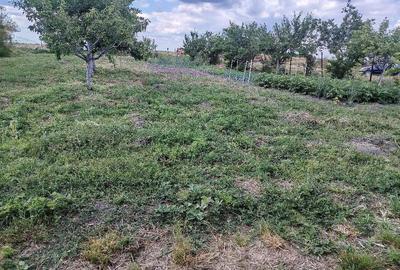 Casă cu Teren 1543 Mp în Șipet - 10