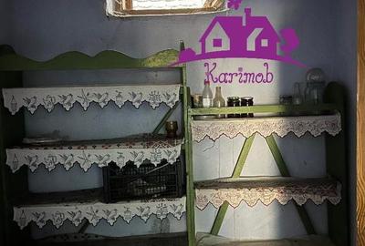 Casă cu 3 camere cu Teren 4147 Mp în Ianoșda - 11