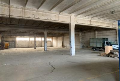 Calea Sagului, Hala industriala cu acces tir - 4