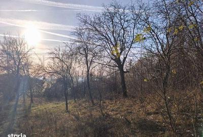 Teren de 4001 mp, în Bezdead - 3