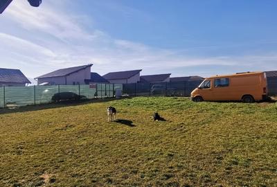 Vând teren Sânpetru Brașov cu utilități - 3