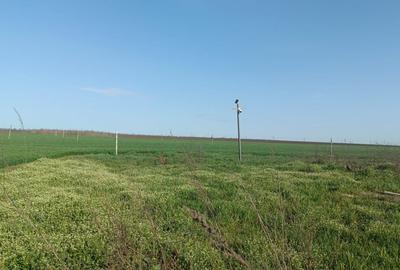 Teren agricol extravilan de 500 mp, în Costinești - 2