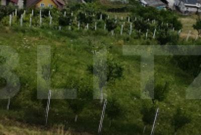 Teren intravilan 730 mp Zona panoramica Aleea Trif