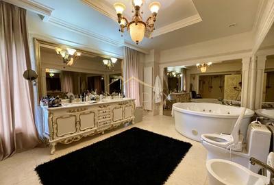 Casă individuală cu 15 camere cu Canalizare în Lacul Tei - 23