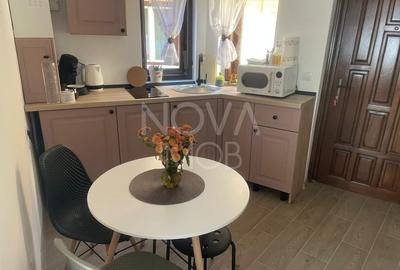 2 garsoniere, regim hotelier - Piata Armelor - 6