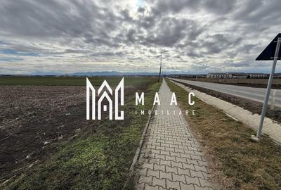 Teren Construcții intravilan de 9600 mp, în Șura Mică - 3