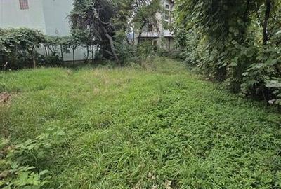 Imobil cu potential, constructie solida cu 2 apartamente,+demisol si garaj, Bras - 25