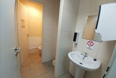 Birouri de inchiriat in zona parcului - 12