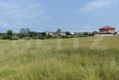 Teren de 1900 mp, în Priseaca - 1