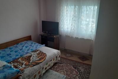Apartament cu 2 camere decomandat în Valea Alba - 7