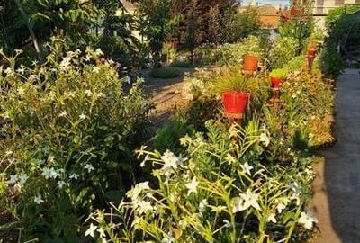 VILA UNICAT ULTRALUX P+1 +CASA CU TEREN 1412MP ZONA PALAZU MARE - 23