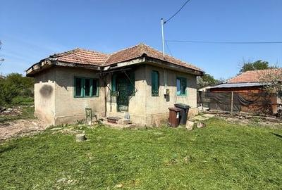 Casă cu 4 camere cu Teren 2000 Mp în Gura Vadului - 4