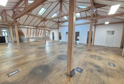 Spatii pentru birouri in vila - 233 mp - aproape km 0 - 3