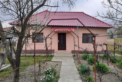 Casă cu 3 camere cu Teren 2500 Mp în Butoiești - 5