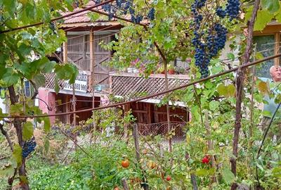 Casă cu 5 camere în Drăganu - 5