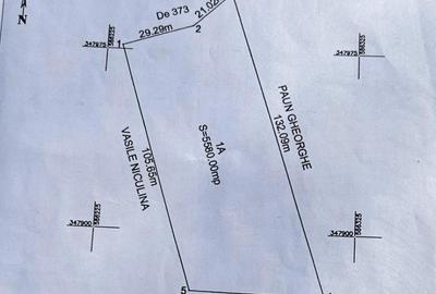 Teren Construcții intravilan de 5558 mp, în Balotești