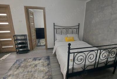 Apartament Baile Herculane - 3