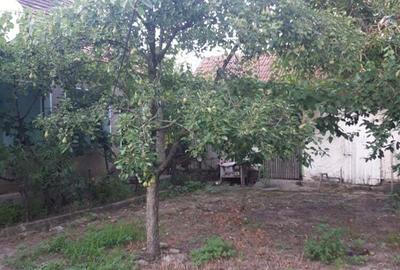 Casa de vanzare in loc. MORODA jud. ARAD - 4