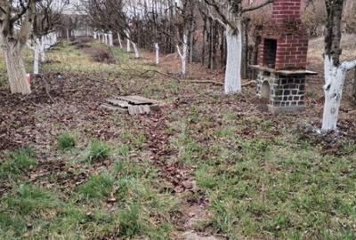 Teren de vanzare, 9000 mp, Zona Aurel Vlaicu - 6