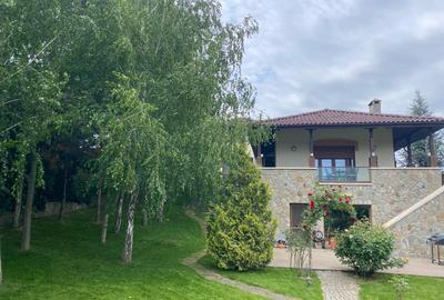 Mogosoaia,vila robusta cu vedere spectaculoasa catre lac,palat,parc,1750mp teren - 31