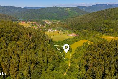 Spațiu comercial, în Brădet - 4