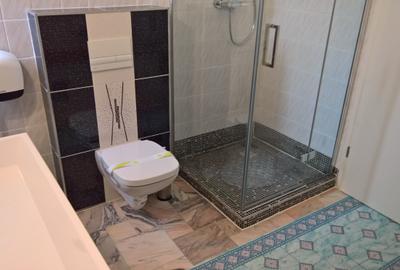 Apartament 4 camere in vila, mobilat si utilat modern zona Grivitei - 13
