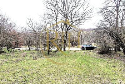 Teren agricol extravilan de 25000 mp, în Secaș - 5