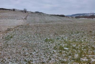 Teren de 5450 mp, în Vânători - 3