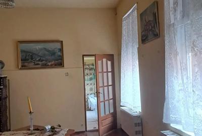 Casă cu 5 camere cu Teren 4000 Mp în Lugoj - 3