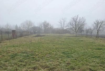 Casă în Dârlos - 2