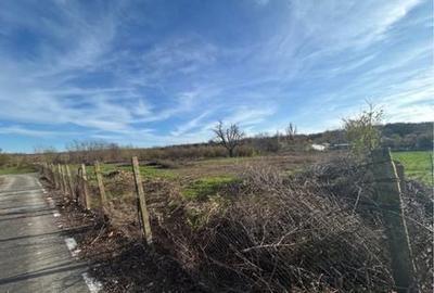 Spațiu comercial, în Cosâmbești - 6