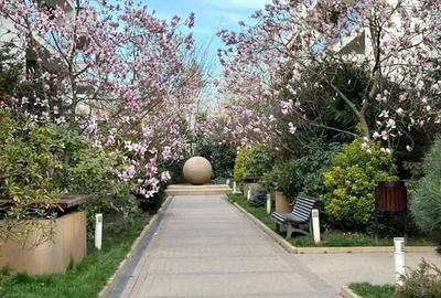 Apartament cu 4 camere decomandat în Iancu Nicolae