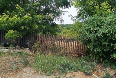 Lumina, 3300 mp, intravilan, zona Primărie - 3