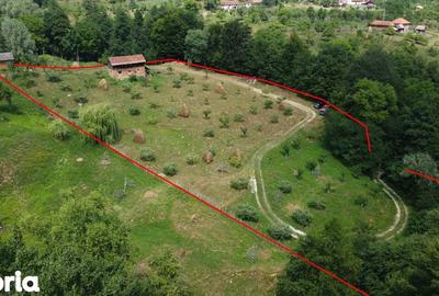 Teren de 6200 mp, în Cicănești - 15