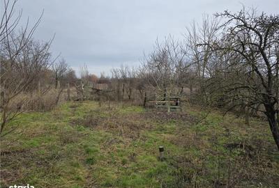 Casă cu 3 camere cu Teren 7900 Mp în Ciumeghiu - 4