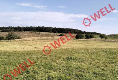 Teren de 11900 mp, în Central - 3