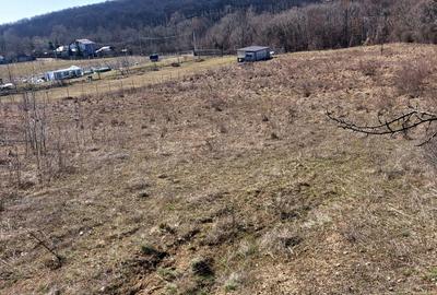 Spațiu comercial, în Hârsa - 3