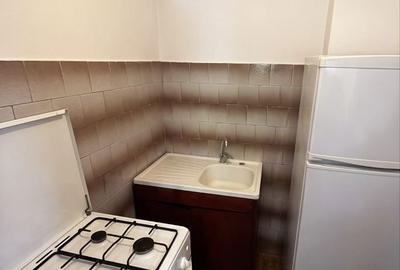 Garsonieră nedecomandată în Pantelimon - 2