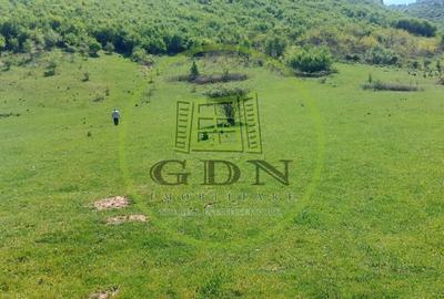 Teren extravilan 3408 mp in Gura Raului - 1