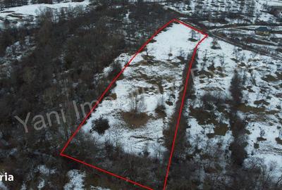 Teren de 4377 mp, în Bradu - 9