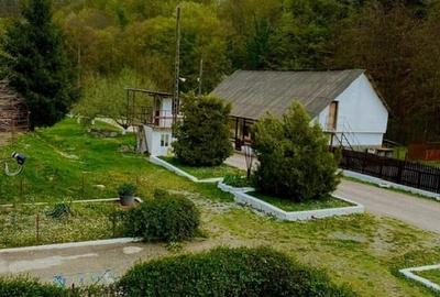 Teren pentru investitii 11.000 mp - 13