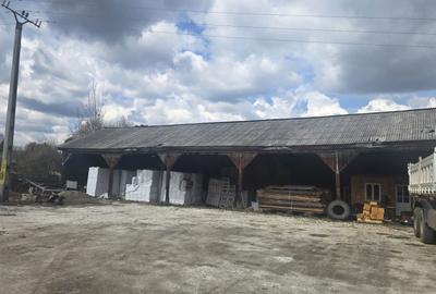 Teren de 1000 mp, în Panaci - 16