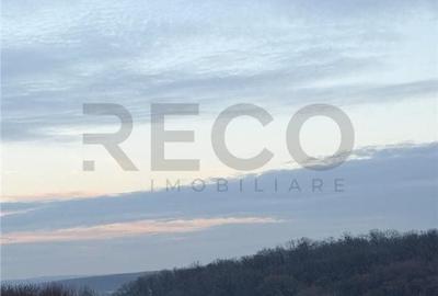 Spațiu comercial, în Păușa - 1