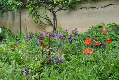 Oportunitate! Casa Bod pe un singur nivel, teren 980 mp pivn - 8